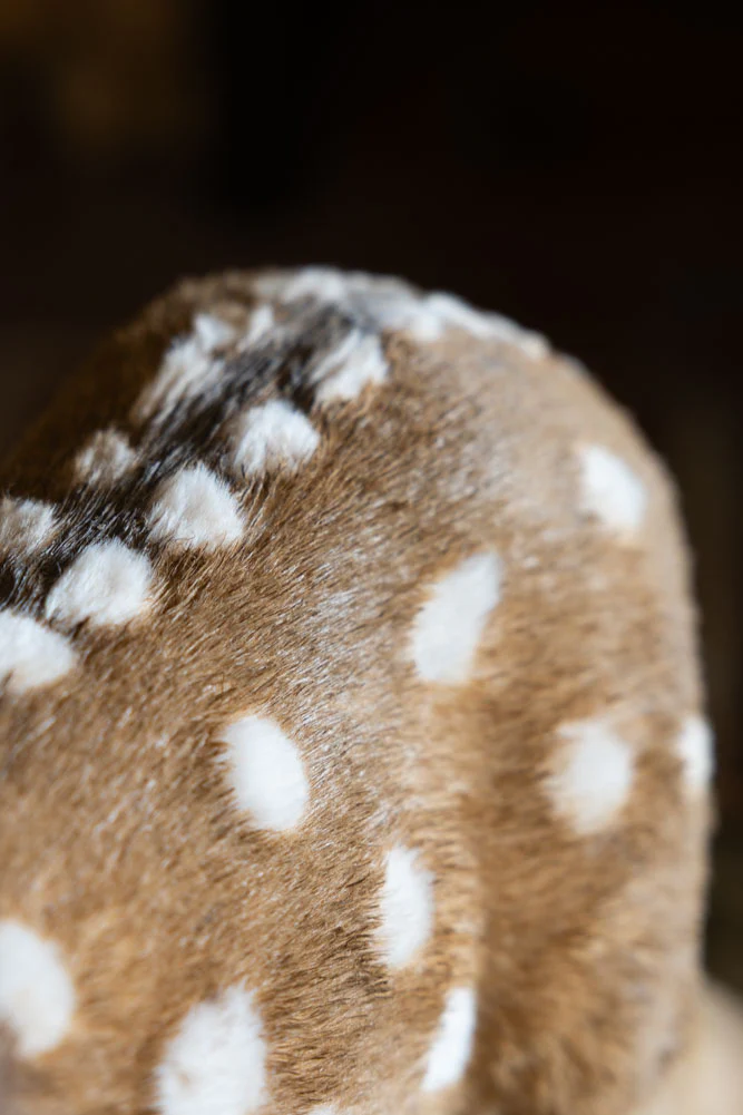 Baby Deer Christmas Decoration - Image 5