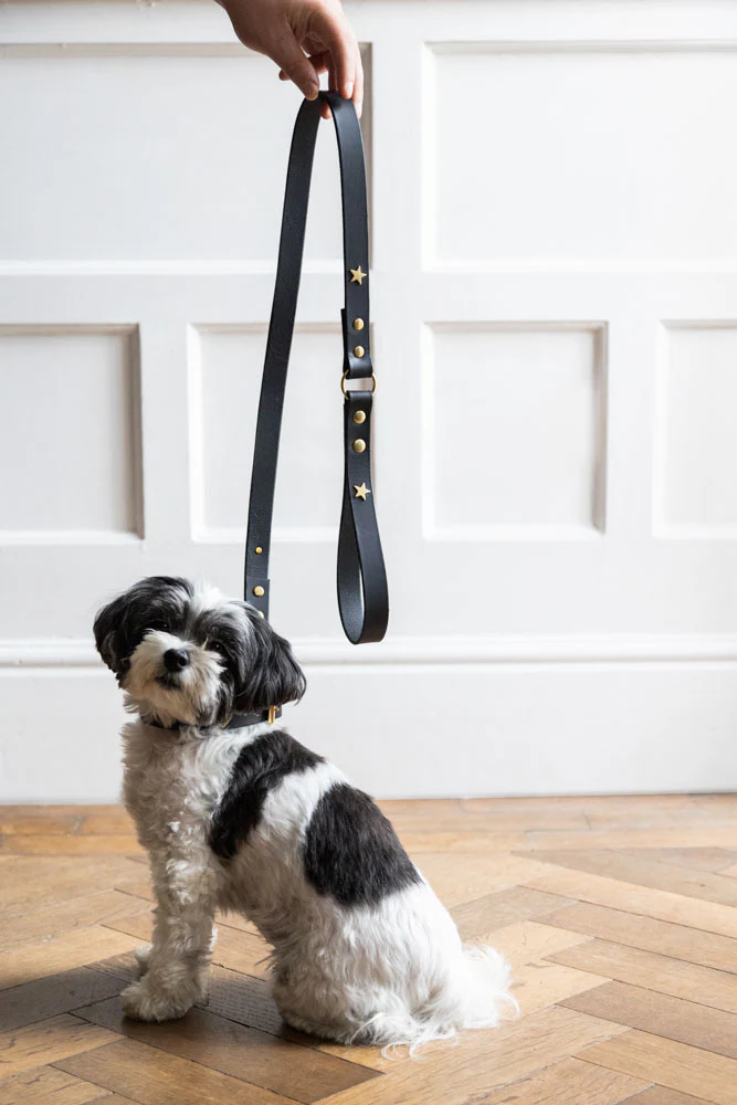 Black Leather Dog Lead With Stars - Image 2