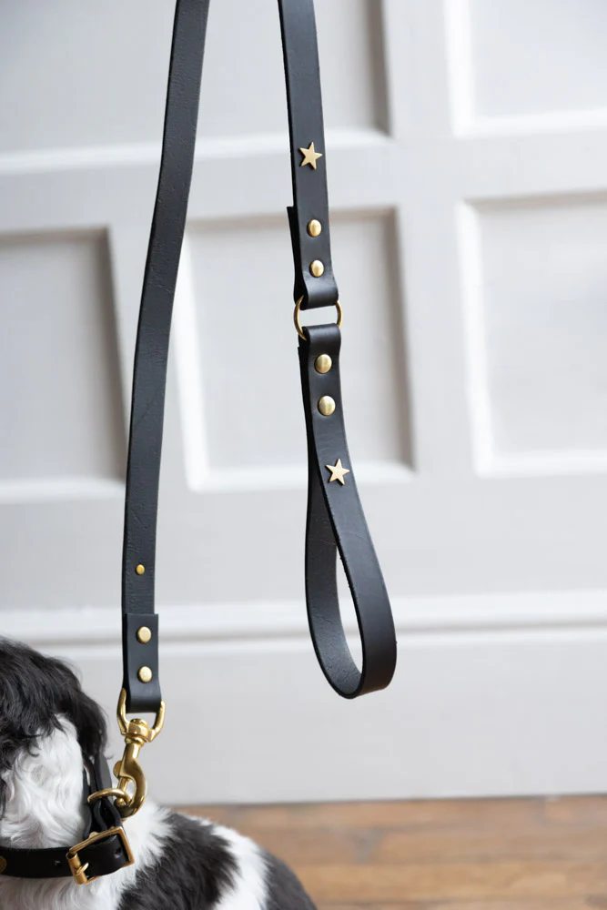 Black Leather Dog Lead With Stars - Image 4