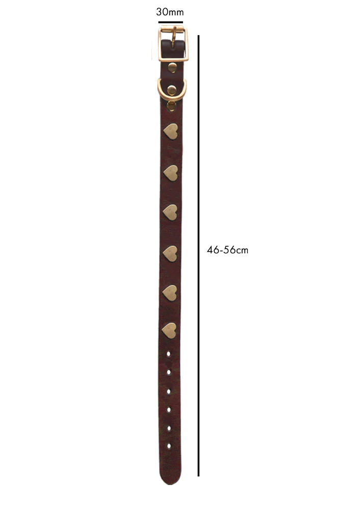 Brown Leather Dog Collar With Hearts - 5 Available Sizes - Image 10