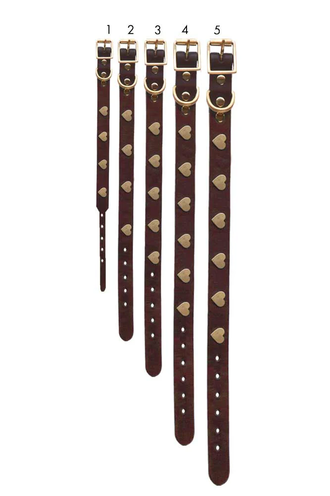 Brown Leather Dog Collar With Hearts - 5 Available Sizes - Image 11