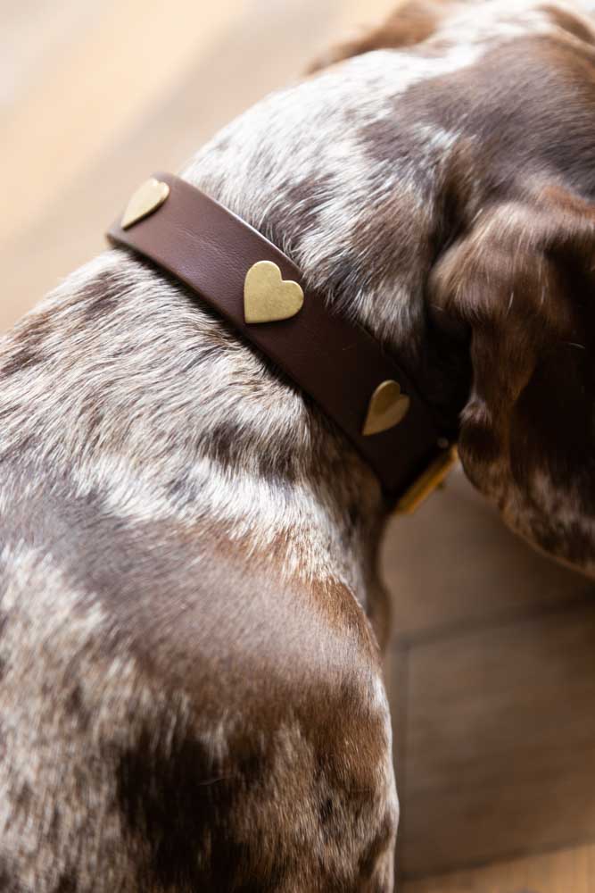 Brown Leather Dog Collar With Hearts - 5 Available Sizes - Image 4