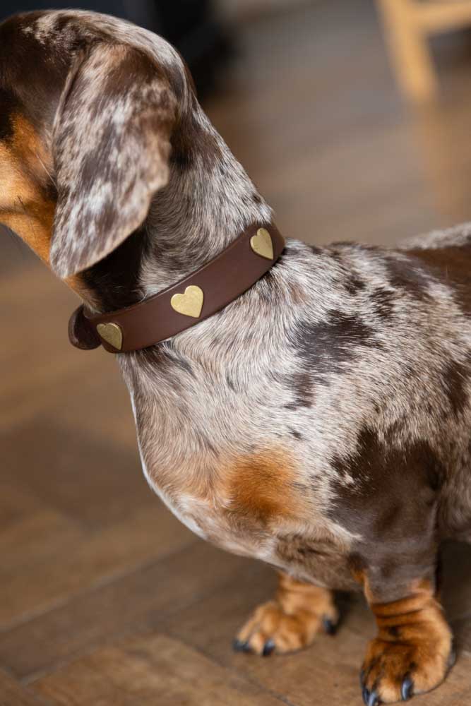 Brown Leather Dog Collar With Hearts - 5 Available Sizes - Image 5