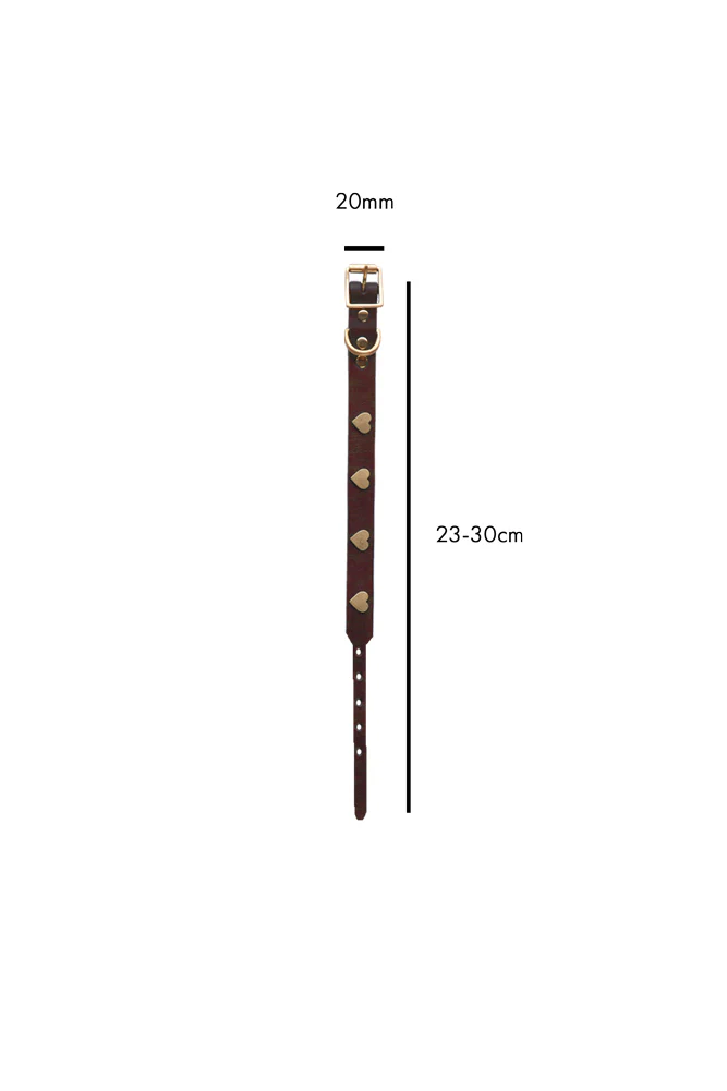 Brown Leather Dog Collar With Hearts - 5 Available Sizes - Image 6