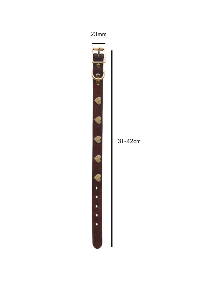 Brown Leather Dog Collar With Hearts - 5 Available Sizes - Image 8