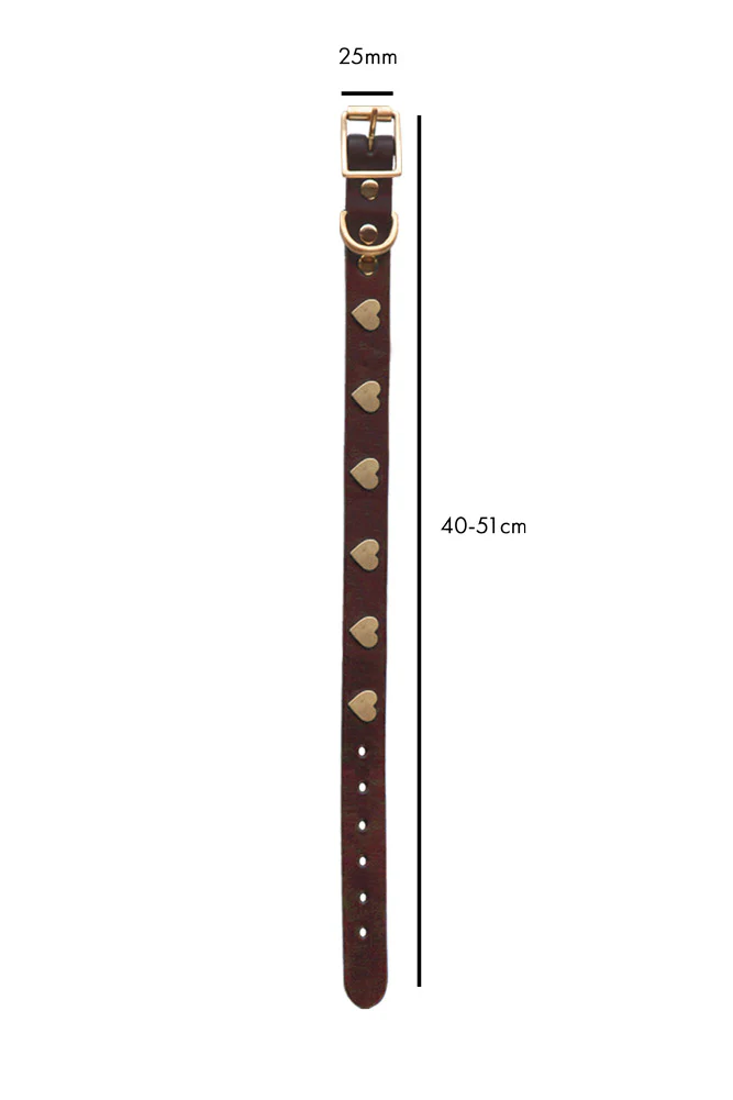 Brown Leather Dog Collar With Hearts - 5 Available Sizes - Image 9