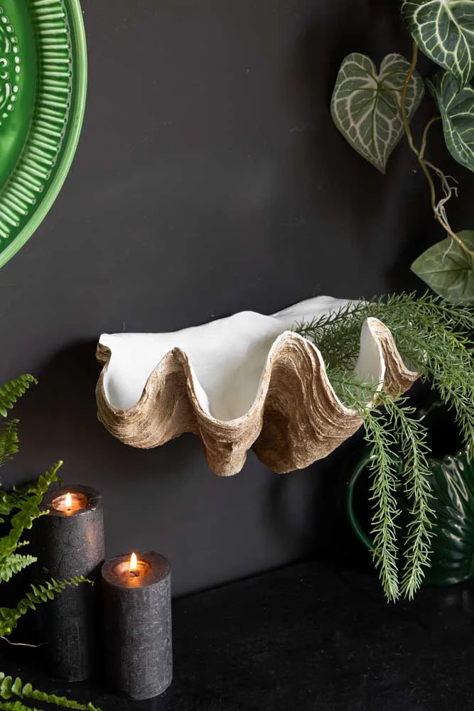 Clam Shell Wall Shelf