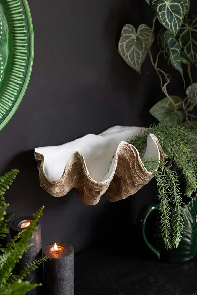 Clam Shell Wall Shelf - Image 2