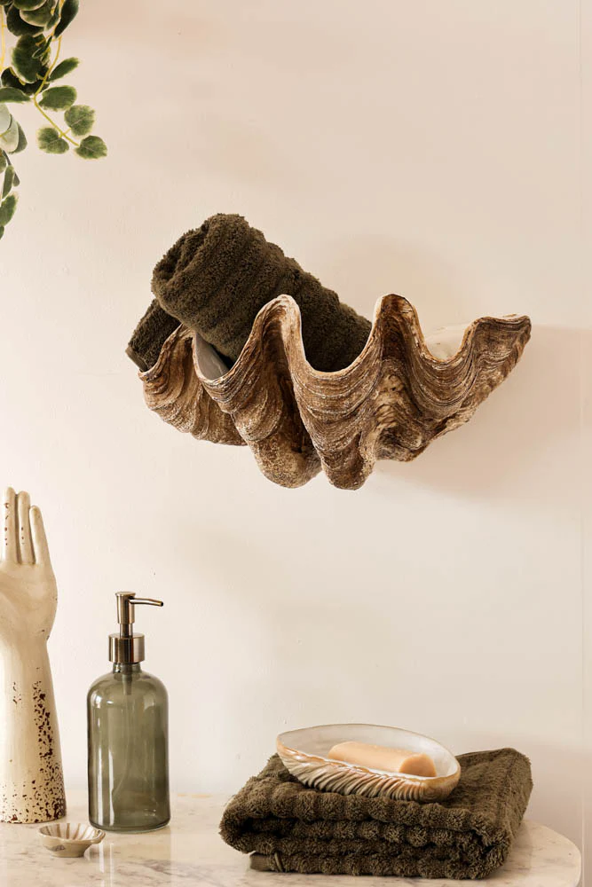 Clam Shell Wall Shelf - Image 7