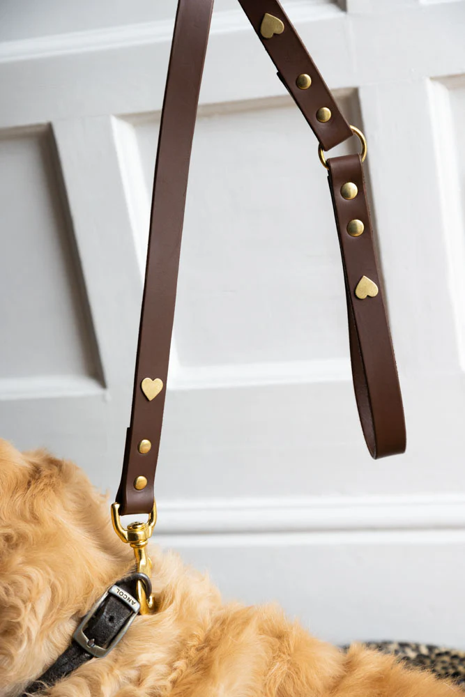 Dark Brown Leather Dog Lead With Hearts - Image 4