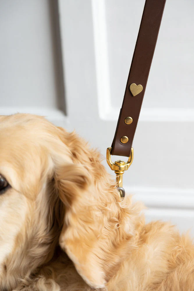 Dark Brown Leather Dog Lead With Hearts - Image 7