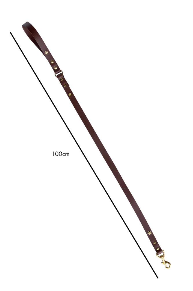 Dark Brown Leather Dog Lead With Stars - Image 10