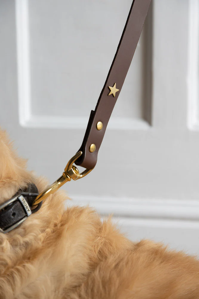 Dark Brown Leather Dog Lead With Stars - Image 4