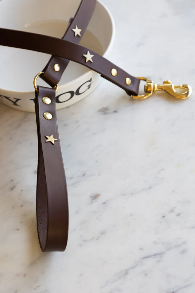 Dark Brown Leather Dog Lead With Stars - Image 5