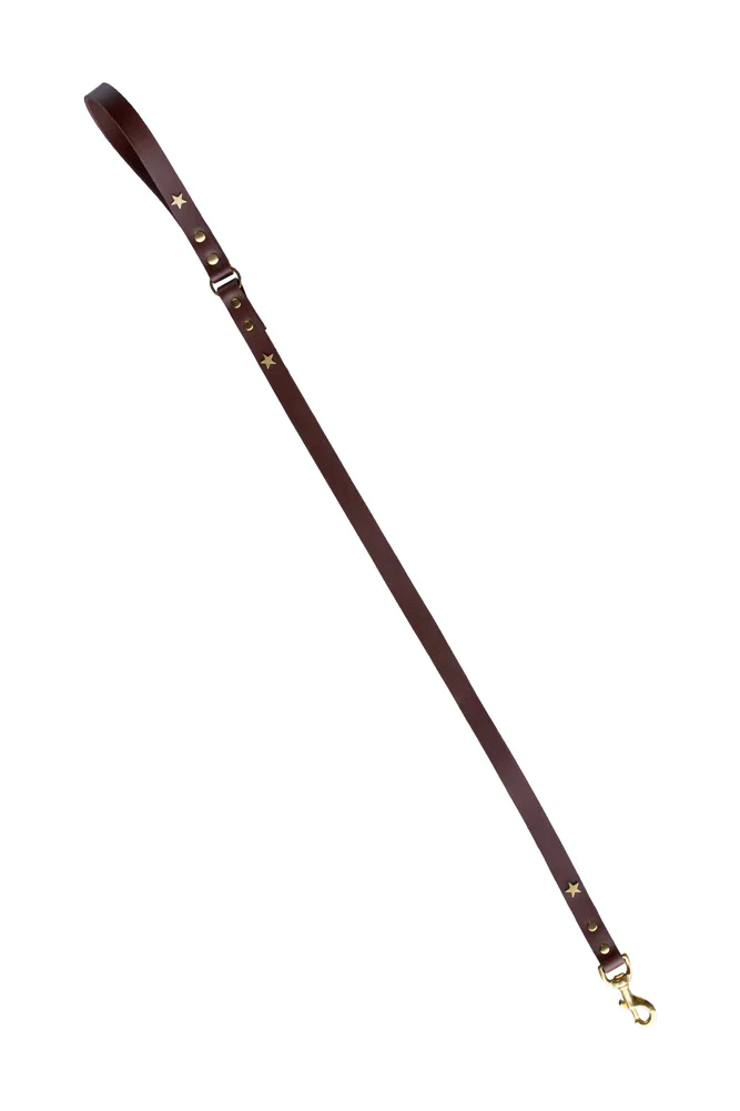 Dark Brown Leather Dog Lead With Stars - Image 9