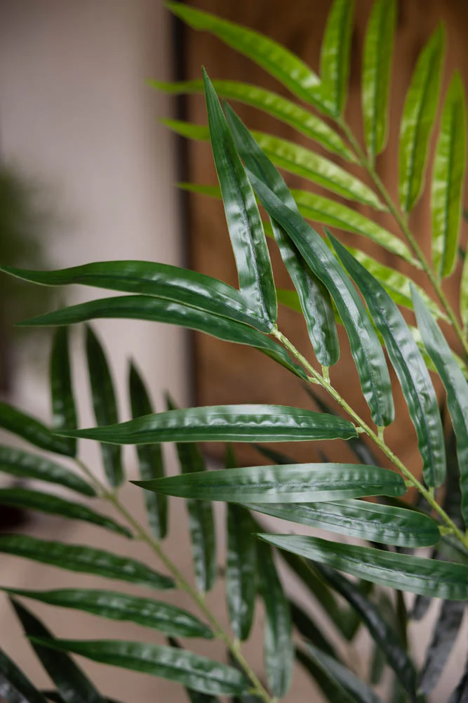 Extra Large Faux Bamboo Tree - Image 3