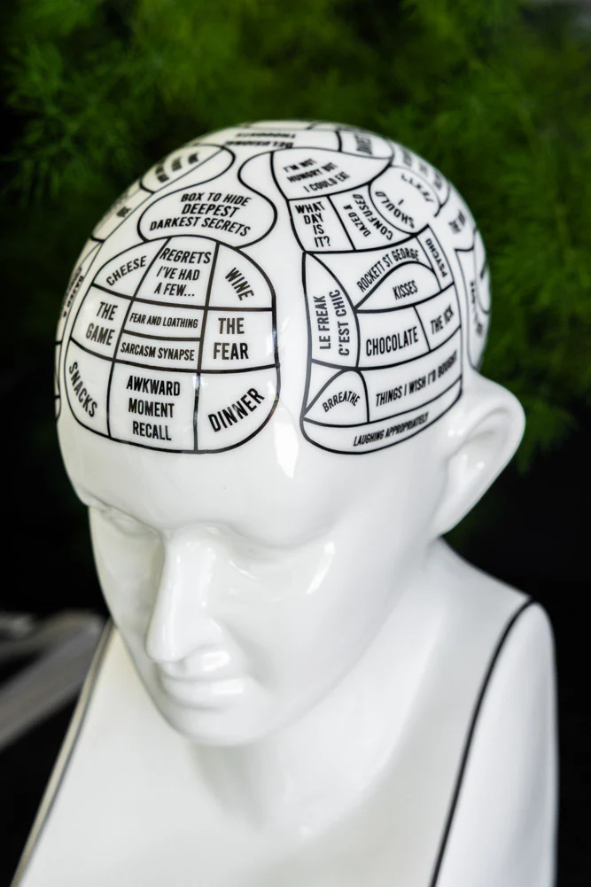 Funology Head Display Ornament - Image 2