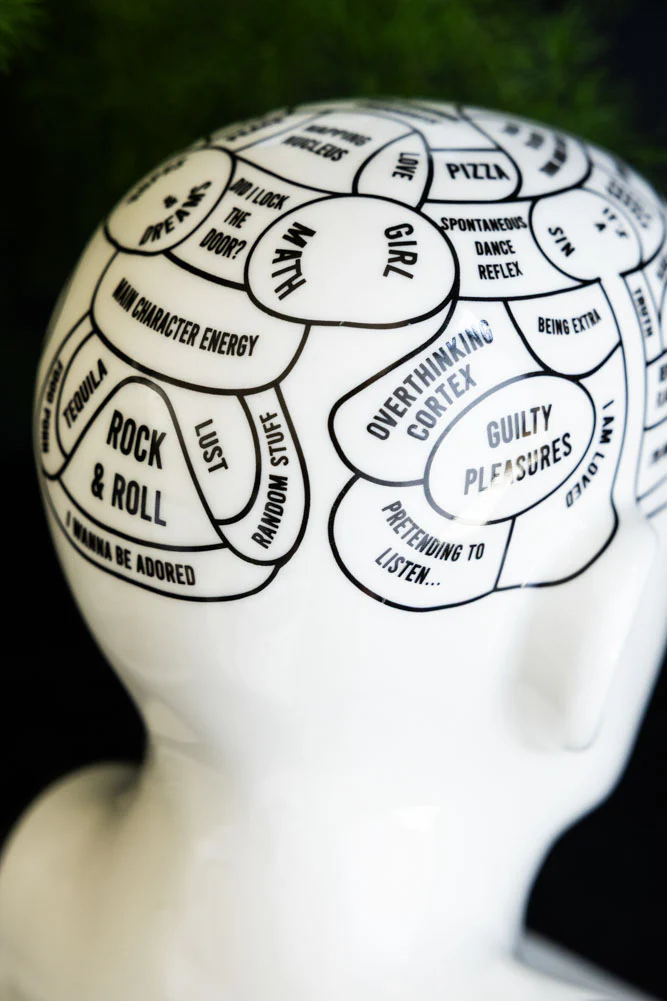 Funology Head Display Ornament - Image 3