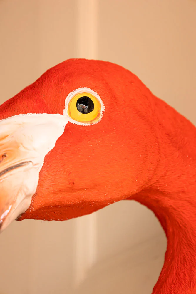 Large Faux Flamingo Head Wall Art - Image 4