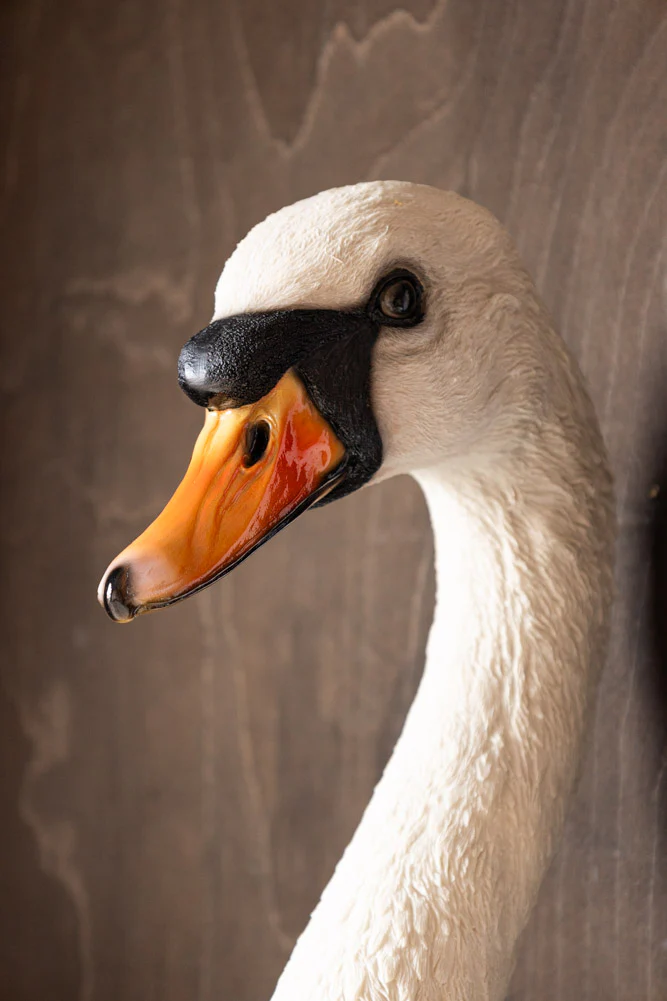 Large White Faux Swan Head Wall Art - Image 3