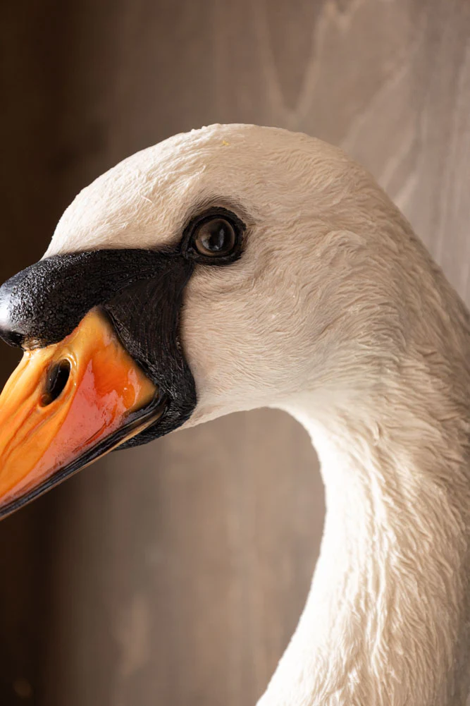 Large White Faux Swan Head Wall Art - Image 4