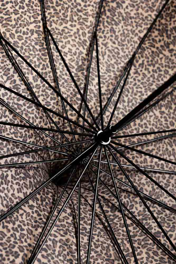 Leopard Print Umbrella - Image 4
