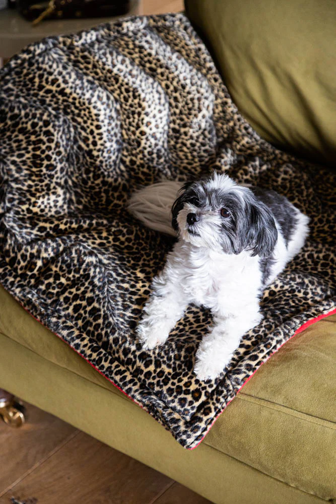 Leopard Print Pet Padded Blanket - Image 5