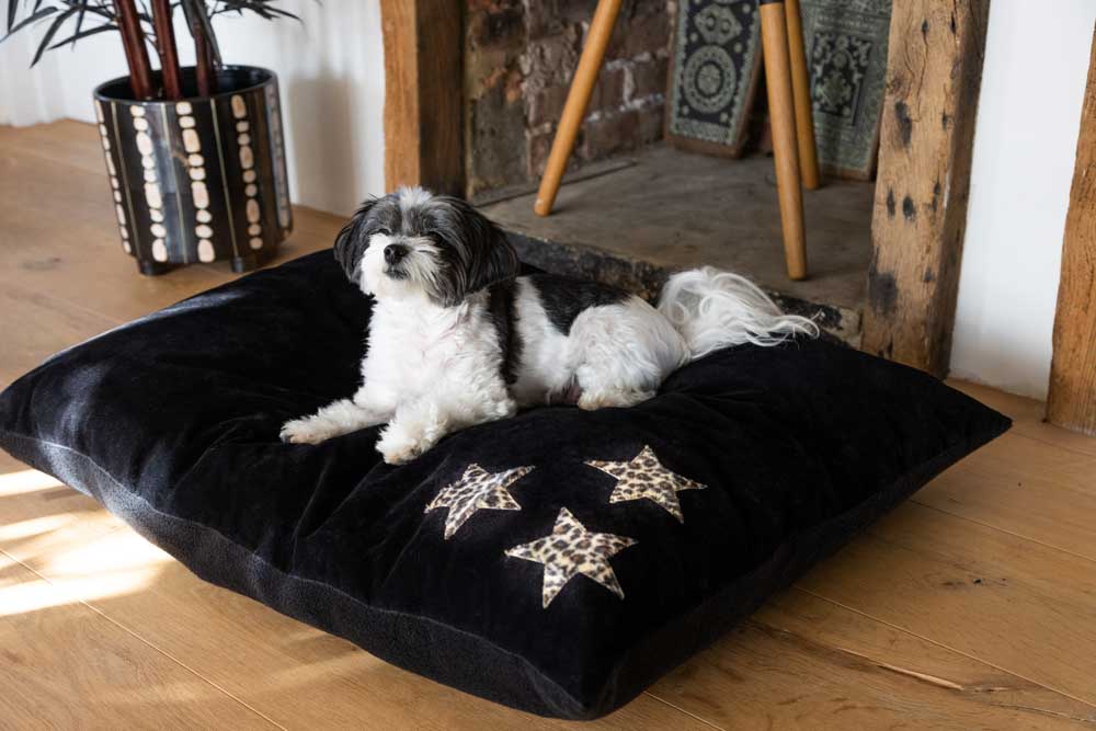 Leopard Stars Dog Bed - 3 Available Sizes - Image 16