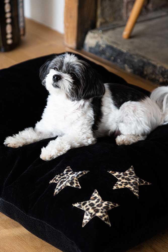 Leopard Stars Dog Bed - 3 Available Sizes - Image 20