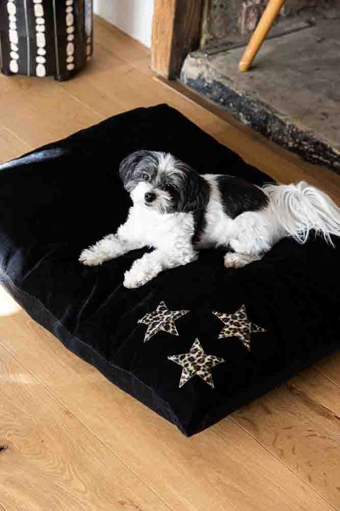 Leopard Stars Dog Bed - 3 Available Sizes - Image 26