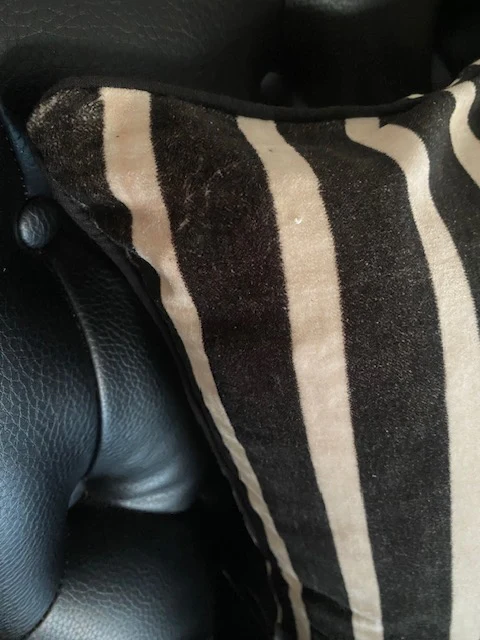 Monochrome Striped Velvet Cushion Cover - SECONDS - Image 5