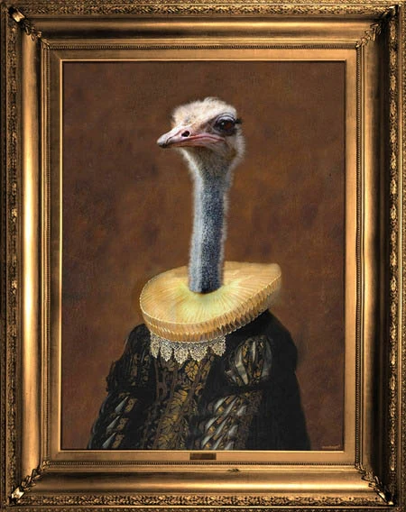 Ostrich Canvas by Angela Rossi