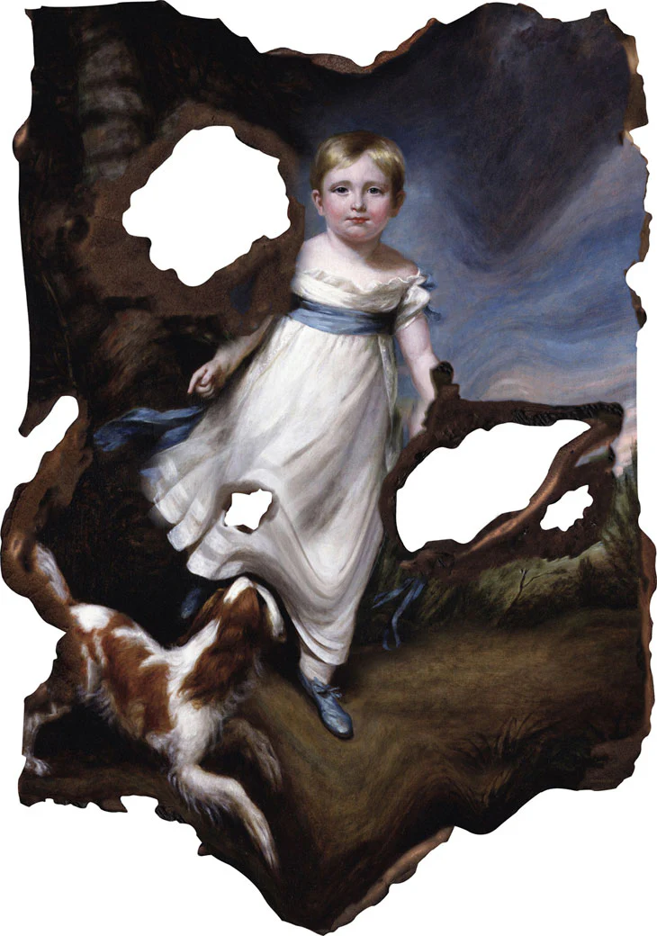 Pastoral Cowhide Rug - Image 2