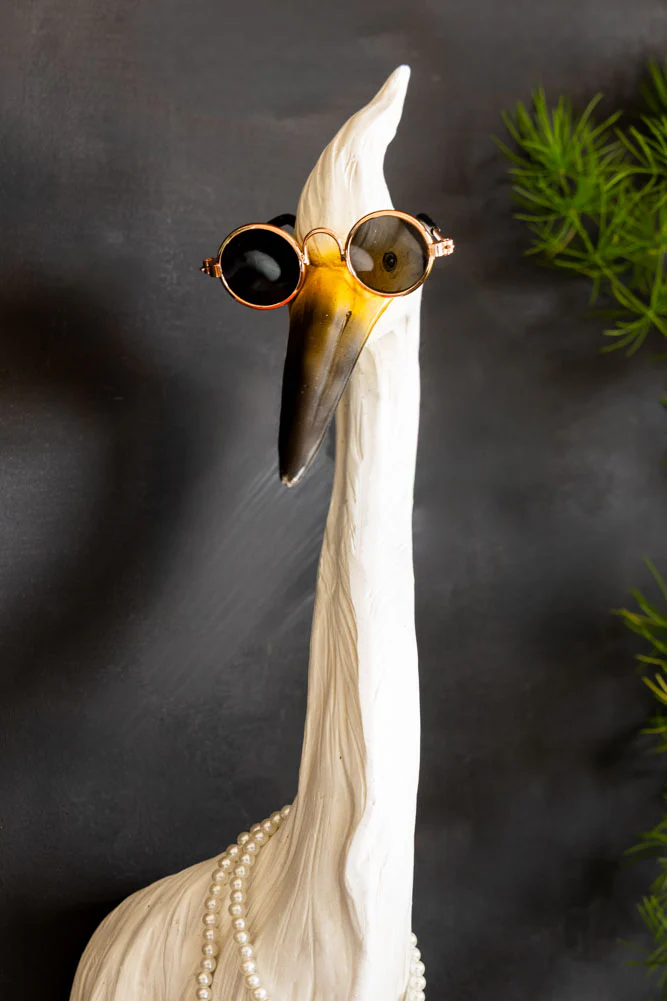 Ozzy The Quirky Bird With Sunglasses & Necklace Wall Art - Image 3