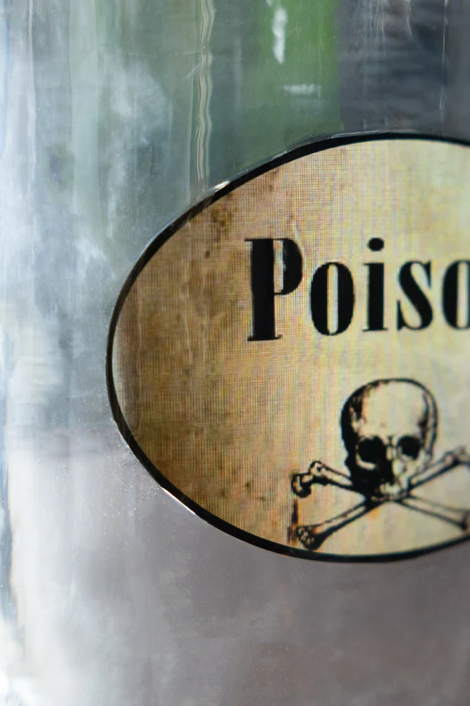 Quirky 'Poison' Glass Decanter - Image 3