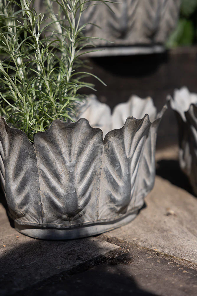Set of 3 Petal Antiqued Planters - Image 6