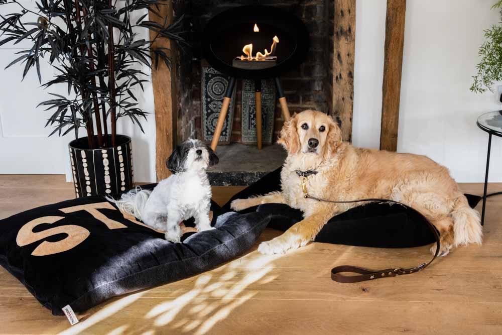Stud Dog Bed - 3 Available Sizes - Image 24