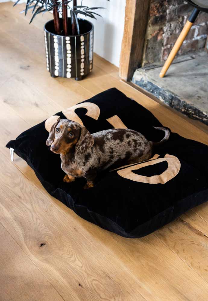 Stud Dog Bed - 3 Available Sizes - Image 4