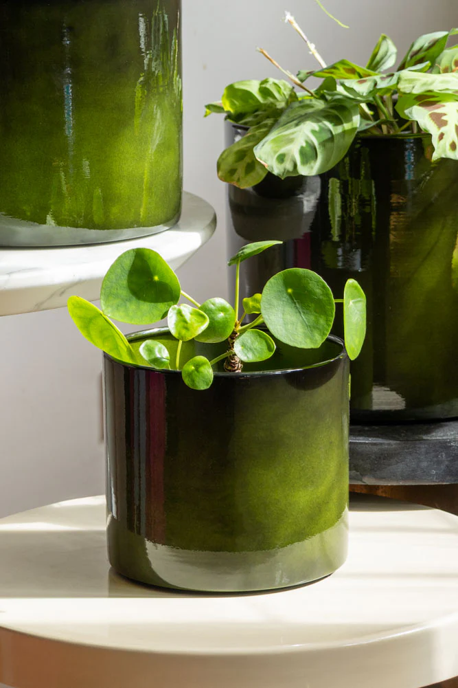 Vibrant Green Upcycled Steel Plant Pot - Available in 3 Sizes - Image 5
