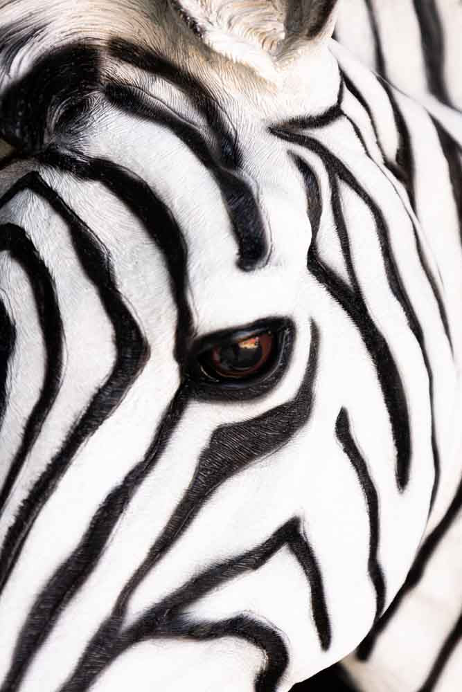 Zebra Head Wall Art - Image 4